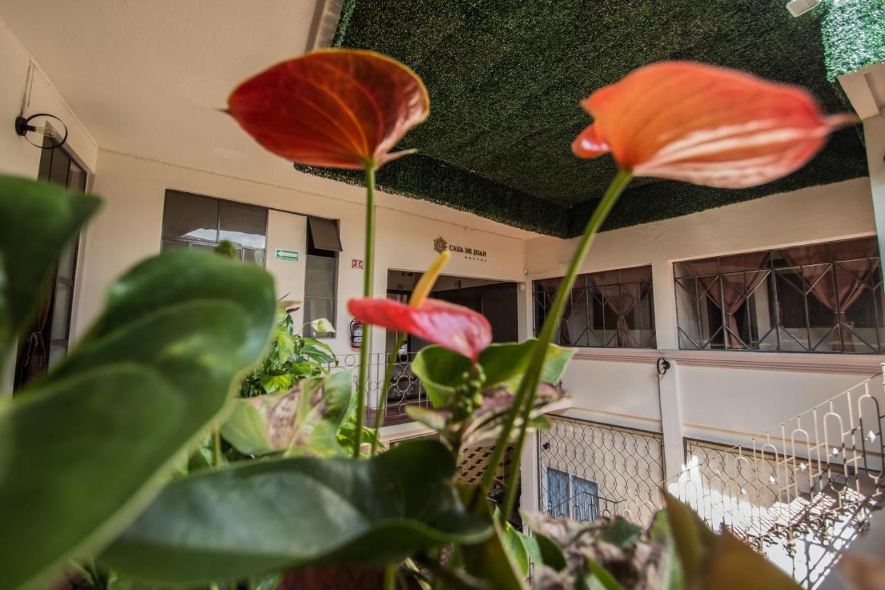 Casa De Juan Hostal Xalapa Exteriör bild